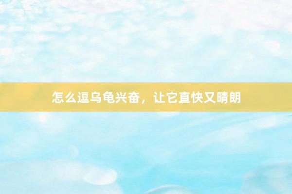 怎么逗乌龟兴奋,让它直快又晴朗
